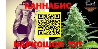 бошки Гагарин