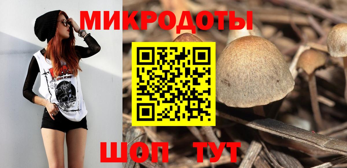 Галлюциногенные грибы MAGIC MUSHROOMS Вязьма
